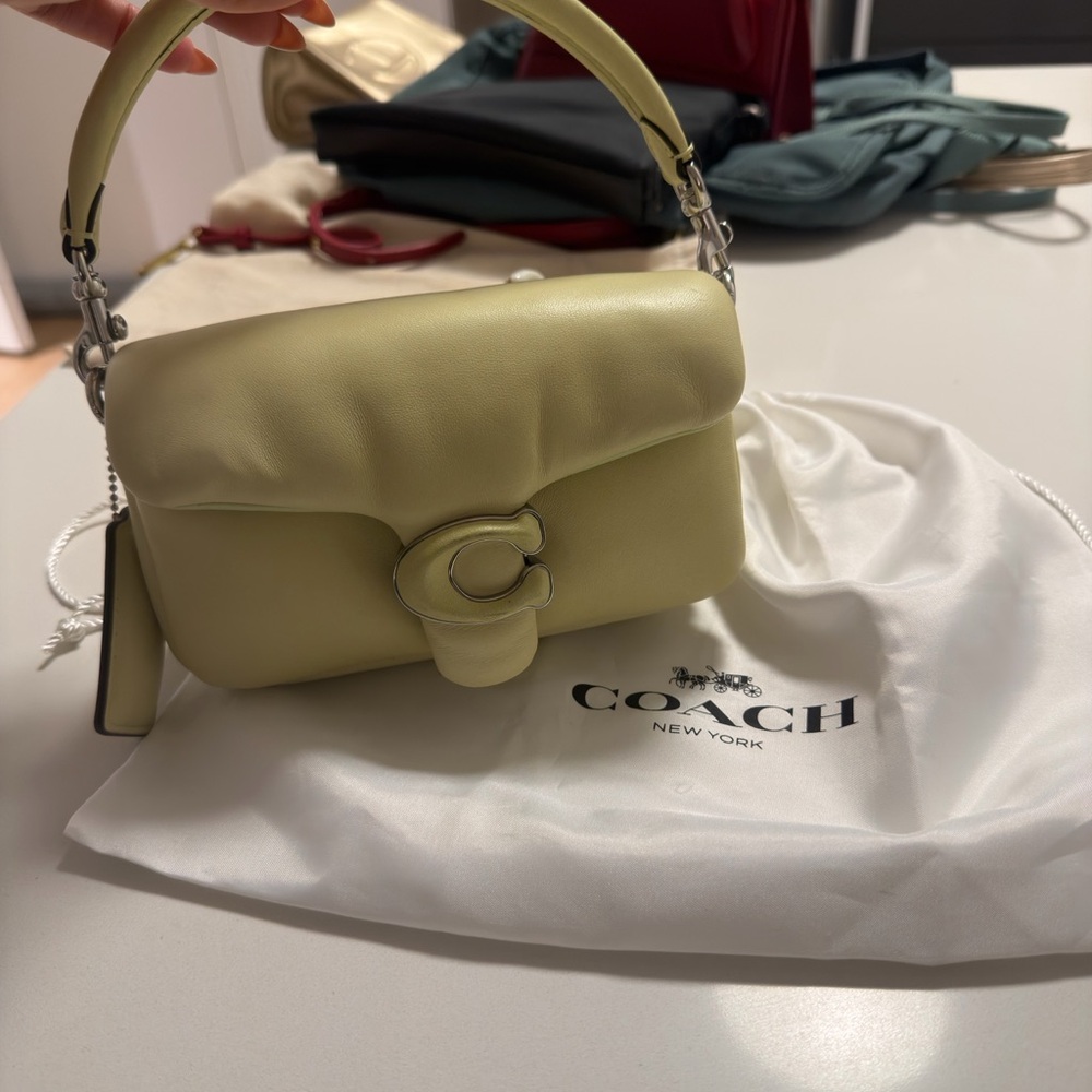 Coach Women's Lime Green Mini tabby